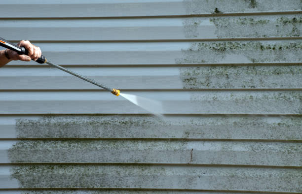 Best Mold Cleaning Services  in Lake Goodwin, WA