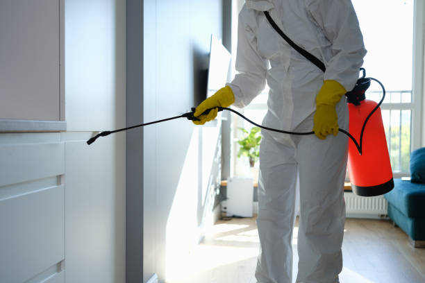 Best Mold Damage Repair  in Lake Goodwin, WA