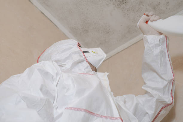 Best Mold Removal Near Me  in Lake Goodwin, WA