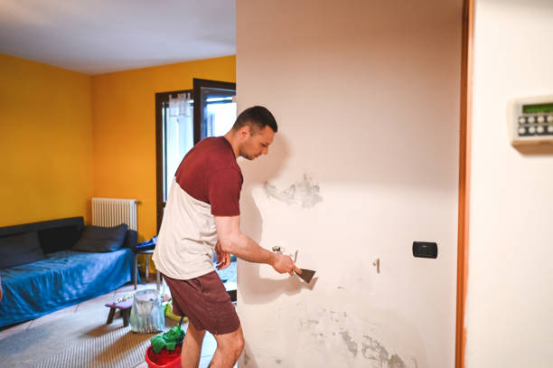 Certified Mold Removal in Lake Goodwin, WA