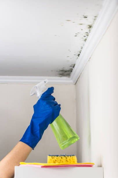 Best Mold Testing  in Lake Goodwin, WA
